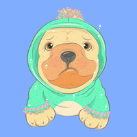 Dog Bulldog GIF