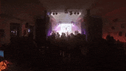 topshelf records prawn GIF