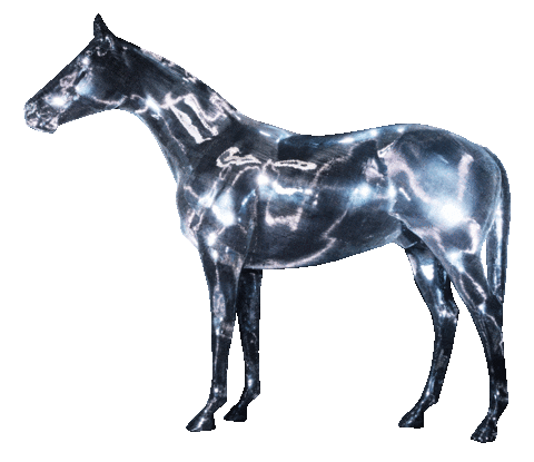 New Music Horse Sticker by Beyoncé