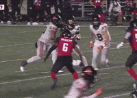 British Lions GIF
