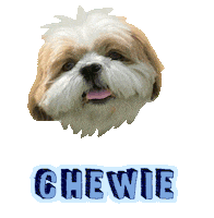Dog Chewie Sticker