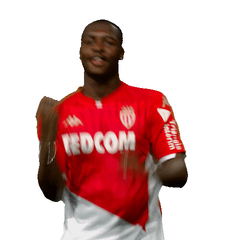 Ligue 1 Football Sticker by AS Monaco