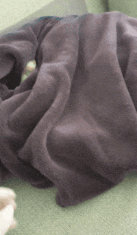 Leave Me Alone Snooze GIF by dignitas