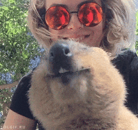 chomp GIF