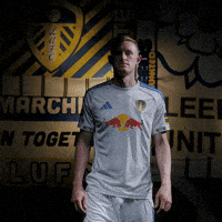 Premier League Lufc GIF by Leeds United