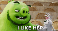 friends handshake GIF by Angry Birds Movie
