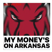 Arkansas Razorbacks GIF by Bovada