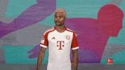 Fc Bayern Selfie GIF by Bundesliga