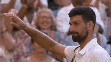 Novak Djokovic GIF by Wimbledon