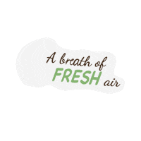 momentumbiking bike sustainability environment momentum Sticker
