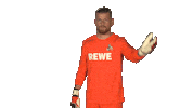 Waving Follow Me Sticker by Bundesliga