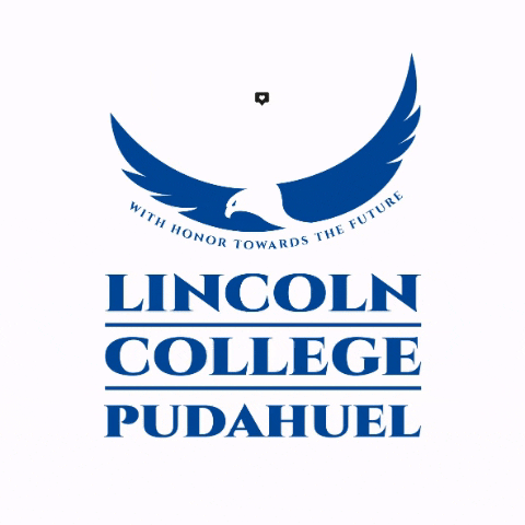 LincolnCollegeChile lincolnpudahuel lincolncollegepudahuel GIF
