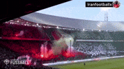 Feyenoord Rotterdam Netherlands GIF