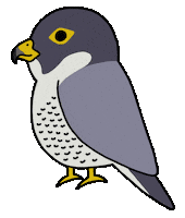 Birds Of Prey Bird Sticker