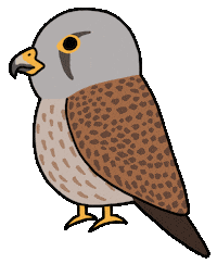Birds Of Prey Bird Sticker