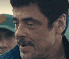 Benicio Del Toro GIF