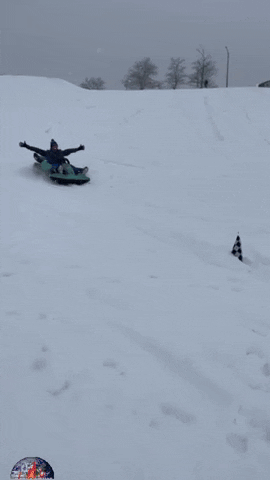 Snow Sledding GIF by Tailgating Challenge