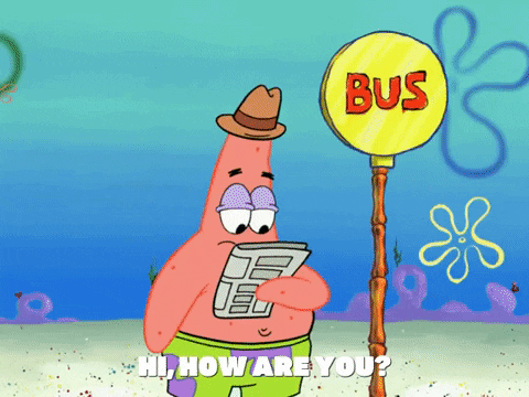 season 6 GIF by SpongeBob SquarePants