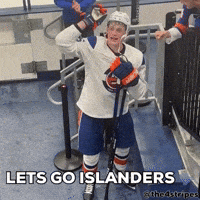 Hockey Nhl GIF