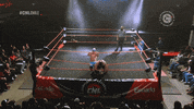 Fight Wrestling GIF by CNL Chile