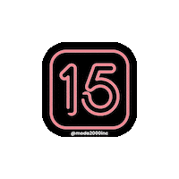 Sweet 16 Quince Sticker by Moda 2000 Inc