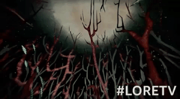 amazon GIF by Lore