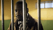 nbc rufus GIF by Timeless