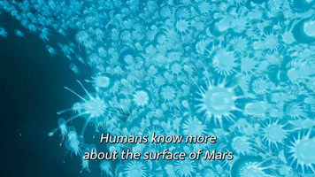 Humans Know More About Mars