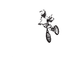 teamtvesport bmx tve tvesport teamtvesport Sticker