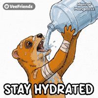 Summer Stay Hydrated GIF by VeeFriends
