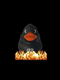 teemer_praxissoftware hot dentist ee zahnarzt GIF