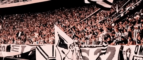 botafogo de futebol e regatas GIF by Botafogo