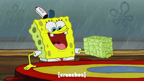 season 9 GIF by SpongeBob SquarePants