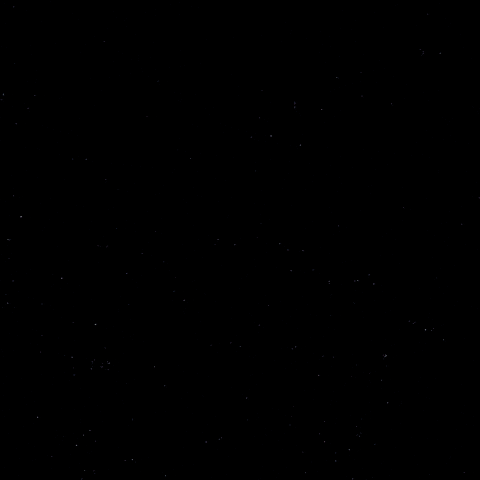 Goal Hockey GIF by Eisbären Berlin