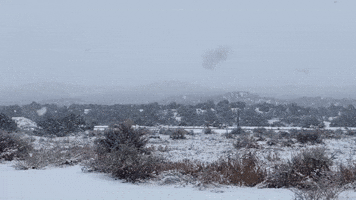 Storm Creates Wintry Scene in New Mexico