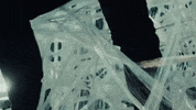 Say So Spider Web GIF by Doja Cat