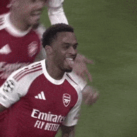 Timber GIF by memes