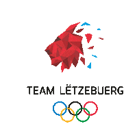 Teamletzebuerg happy olympics together lion Sticker