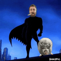 Dark Knight Batman GIF by Nikepig