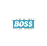 Like A Boss Sticker by E!