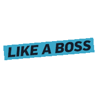 Like A Boss Sticker by E!