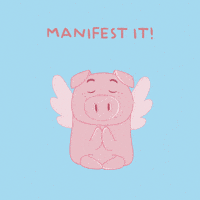 Flying Pig GIF by PositivelyPigasus