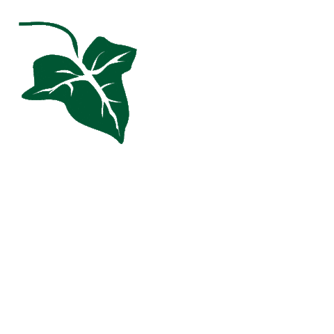 martanlloret summer nature green spring Sticker