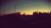 jessie jones GIF by Burger Records