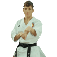 karate ganar Sticker