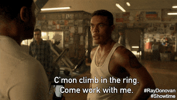 ray donovan GIF by Showtime