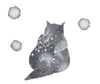 Cat Sticker