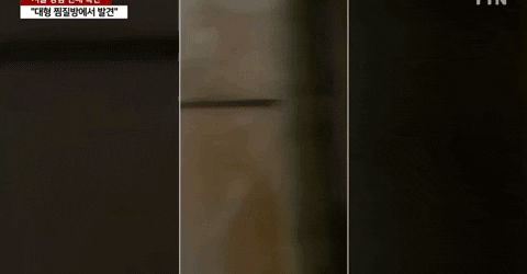 qwerpoiu22ppop giphyupload GIF