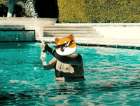 Fun Money GIF by Baby Doge Coin