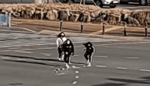 hyeontae giphygifmaker GIF